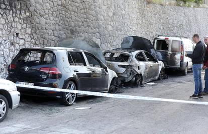 Županijski vijećnik Leo Pavela: Rastočine gore, a policija šuti