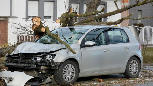 Slavonski Brod: Stablo palo na automobil u voÅ¾nji