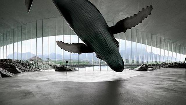 Norveška otvara muzej 'Kit': Bit će super mjesto za promatranje