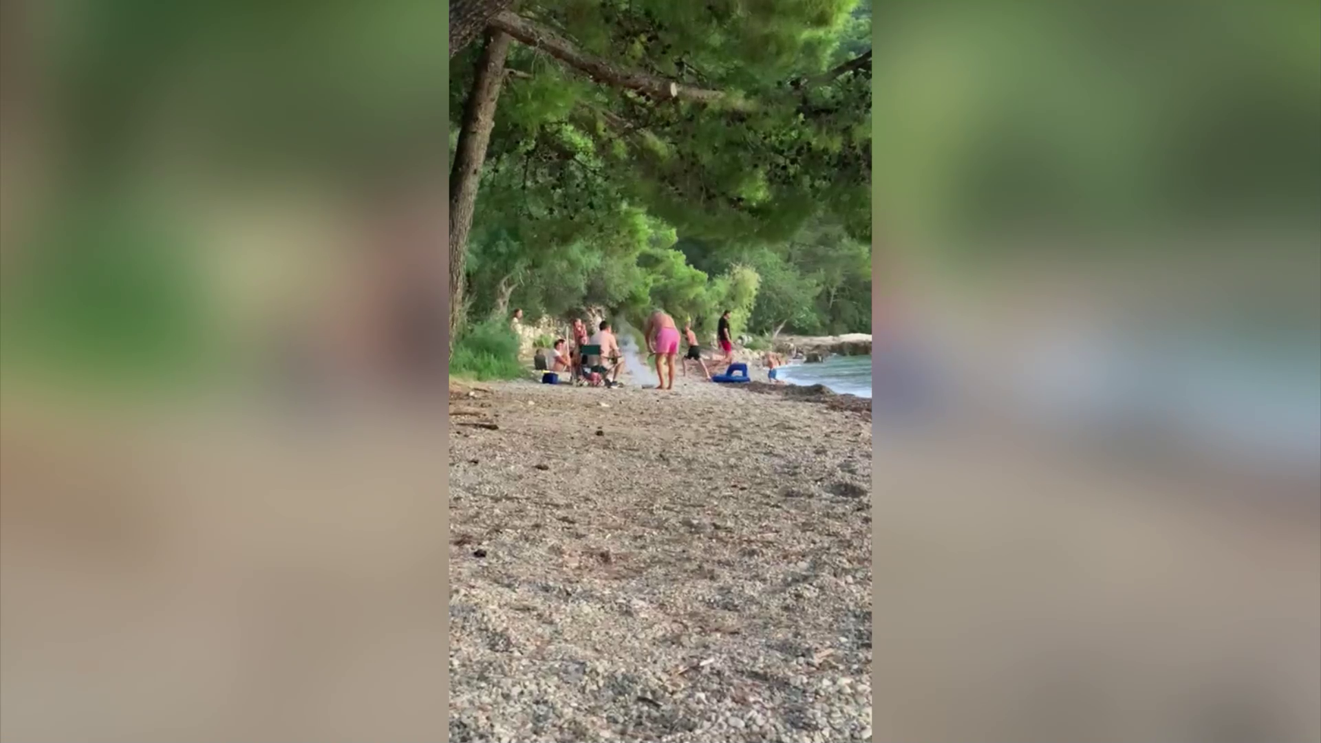 VIDEO Turisti na Pelješcu palili vatru ispod borova na plaži. Došetao im čovjek i ugasio ju