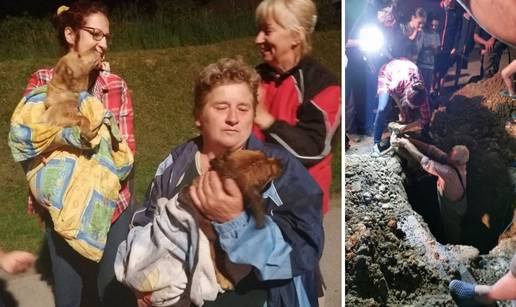 Presretni su: 'Tonikca i Bobi se cijeli dan žele maziti i ljubiti...'