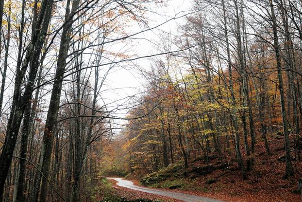 Vodice: Jesenja mističnost Ćićarije