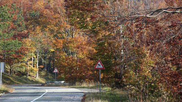Boje jeseni u šumama Gorskog kotara