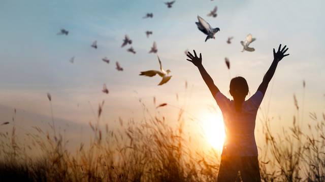 Woman praying and free bird enjoying nature on sunset background