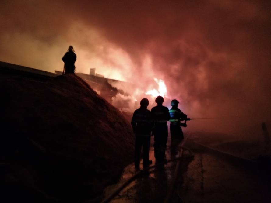 Mještani strahovali za kuće: Zapalila se pilana u Trnjanima