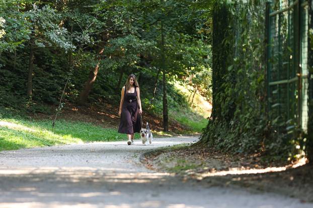 Zagreb: Hrvatska kujica Meghan proglašena najljepšim psom na svijetu