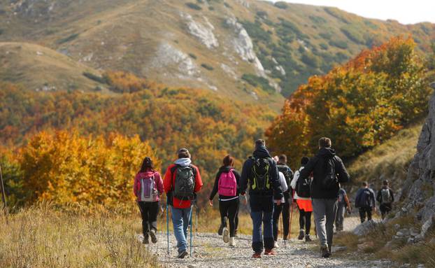 Boje jeseni u šumama Gorskog kotara 