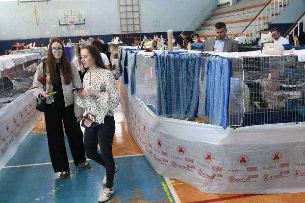 Bjelovar: Međunarodna izložba pasminskih mačaka u organizaciji Saveza felinoloških društava Hrvatske