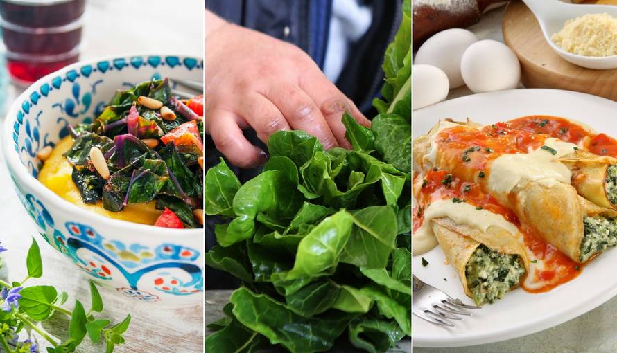 Omiljena dalmatinska biljka postala apsolutni hit u Americi