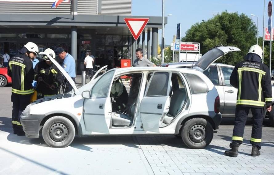 Hrvoje Jelavić/PIXSELL