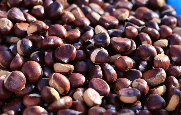 Zagreb: Na Dolac stigli prvi ovogodišnji kesteni, cijene su od 5 do 7 eura