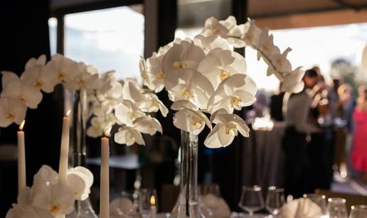 Spoj prirode i dizajna - cvijeće koje podiže svaki prostor i prigodu