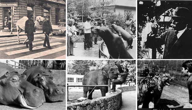FOTO Zagrebački ZOO slavi svoj 100. rođendan, pogledajte što ga je sve obilježilo kroz godine