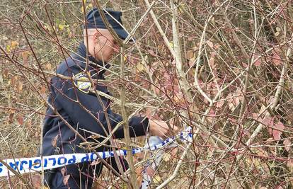 STRAVA KOD VELIKE GORICE Žena (40) ubila člana obitelji