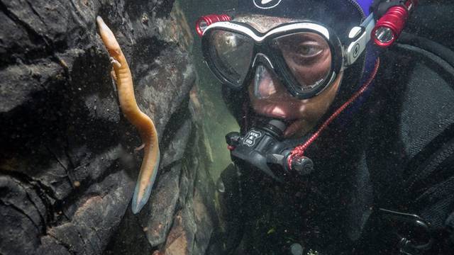 Predator iz podzemlja: Petra sedam godina lovi - 'zmajeve'