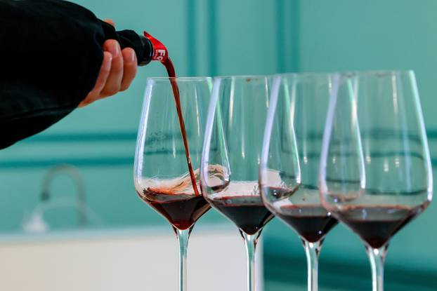 Wine Card Of Russia Competition In Krasnodar Region, Russia