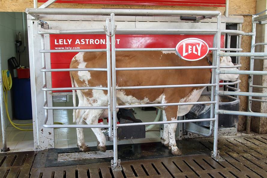 Željko Hladika/24sata