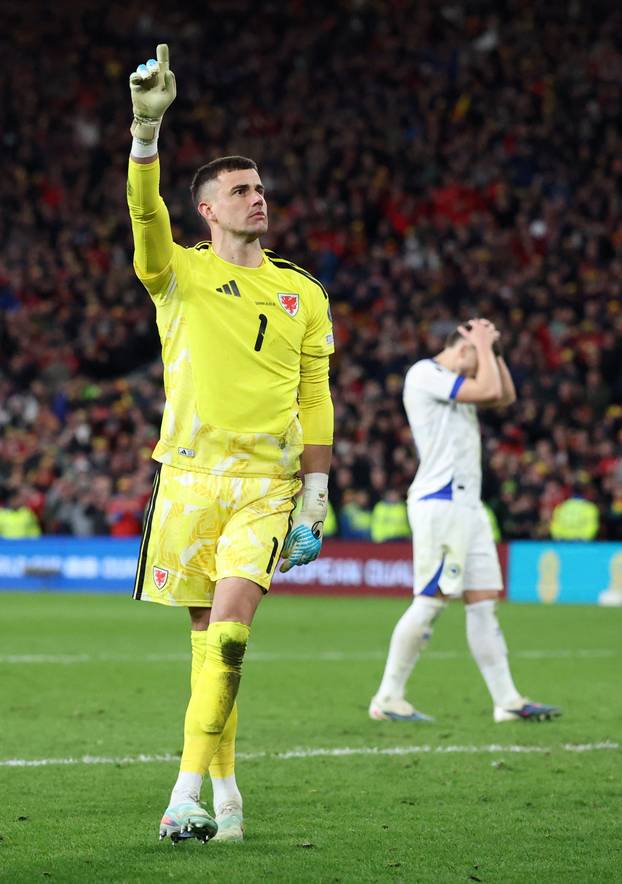 FIFA World Cup - UEFA Qualifiers - Semi Final - Wales v Bosnia and Herzegovina