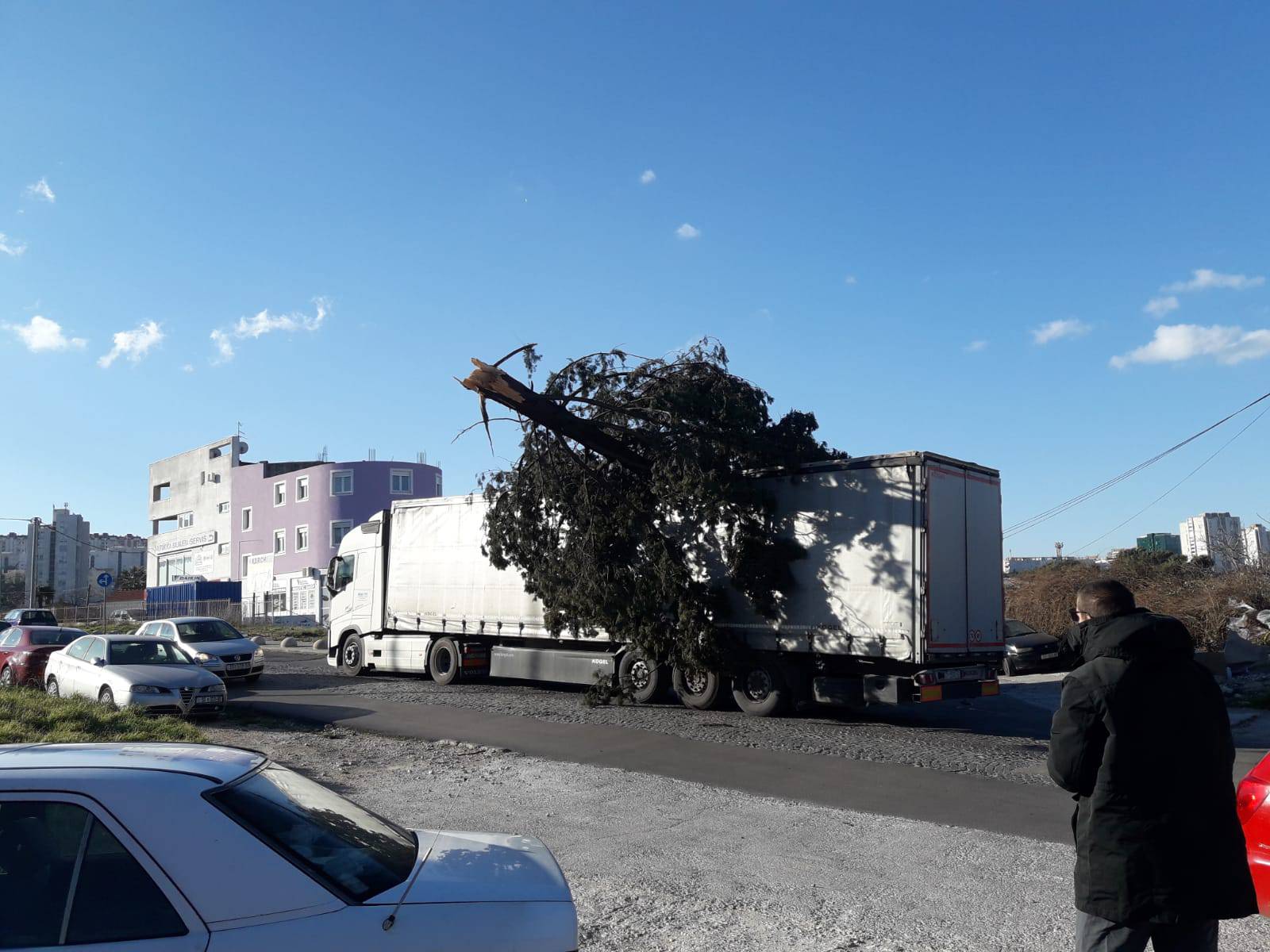 Zbrajaju se štete: Bura čupala stabla, semafore, rušila zidove