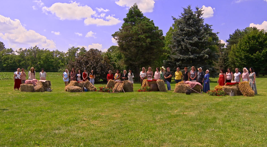 Ines traži farmera za lagodan život, a Gordani je već 'stala' na žulj: 'Toliko bezuspješno dolazi!'