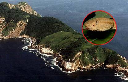 Jezivi otok zmija: Na njemu živi vrsta čiji otrov otapa ljudsko meso i zabranjen je za posjet