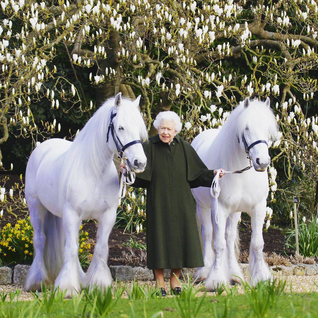 Tom Cruise i Helen Mirren izvest će predstavu za 70 godina vladavine kraljice Elizabete II.