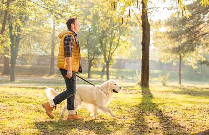 Preporuke iz Dumovca: Sjetite se starijih i prošećite im pse!