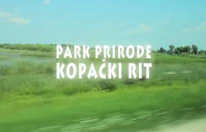 Pogledajte video reportažu iz Parka prirode Kopački rit!