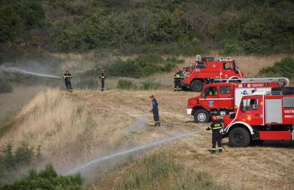 Pokaznu vježbu vatrogasaca nadgledali Josipović i Ostojić