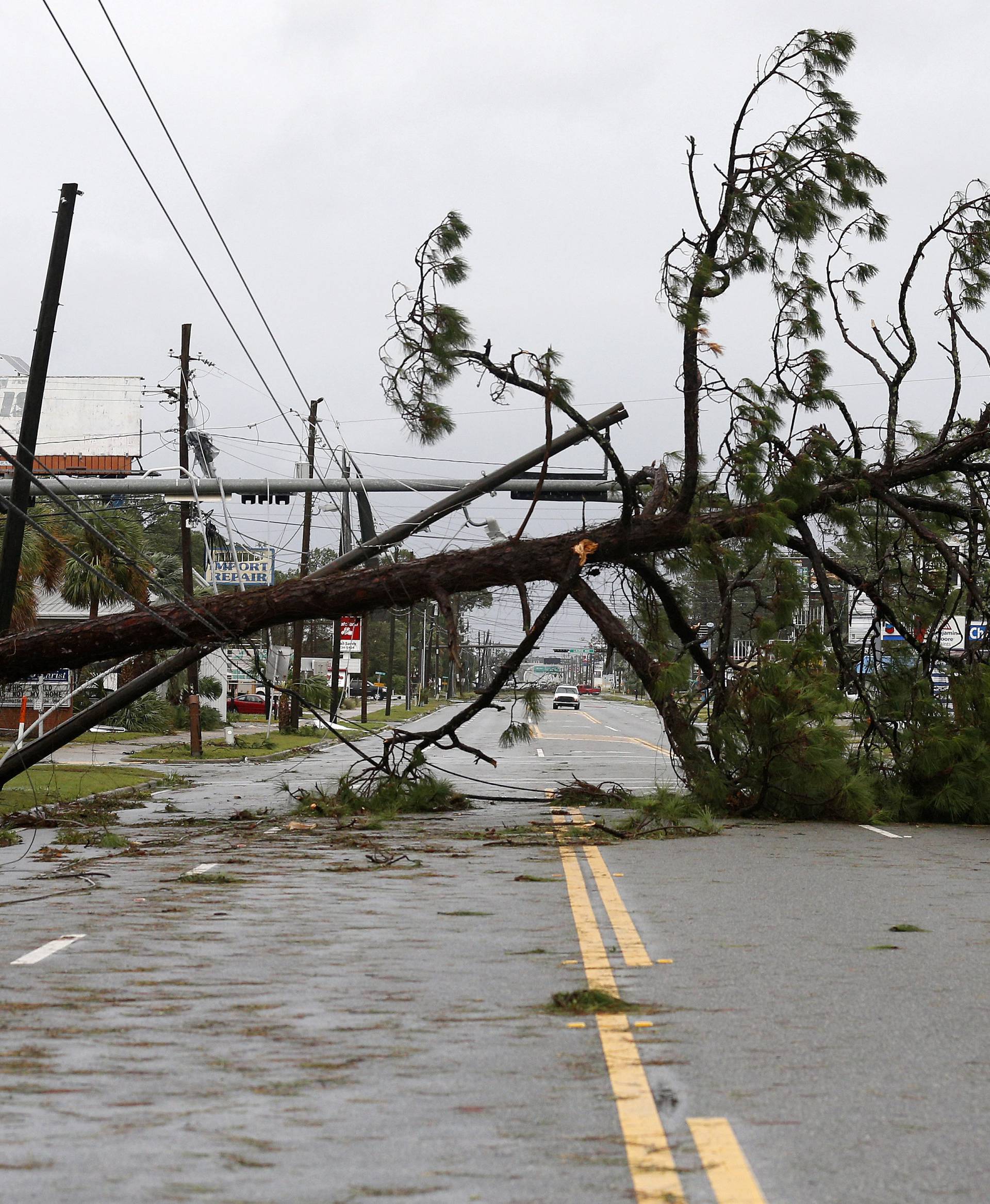 A downed tree and power lines block a road during Hurricane Michael in Panama City Beach