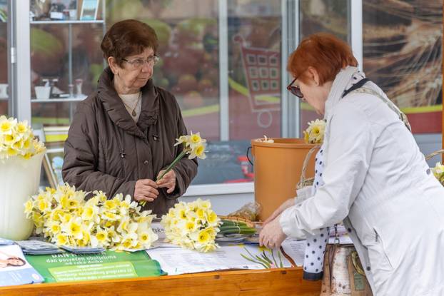Vukovar: Gradonačelnik Penava dijelio cvijeće povodom Međunarodnog dana narcisa