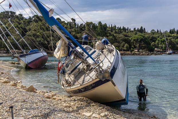 PIXSELL TOP 100 - 2025