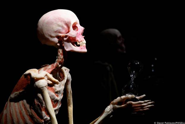 Zagreb: Konferencija uoči otvorenja izložbe seciranih ljudskih tijela Body Worlds Vital