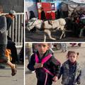 VIDEO Stotine Palestinaca bježe iz grada u Gazi: Kakav je ovo život? Više nemamo baš ništa...