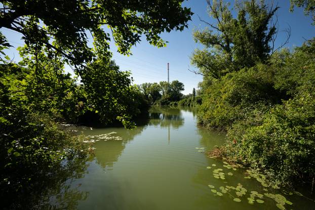 Zagreb: LJetni spokojan dan uz jezera Savica Šanci