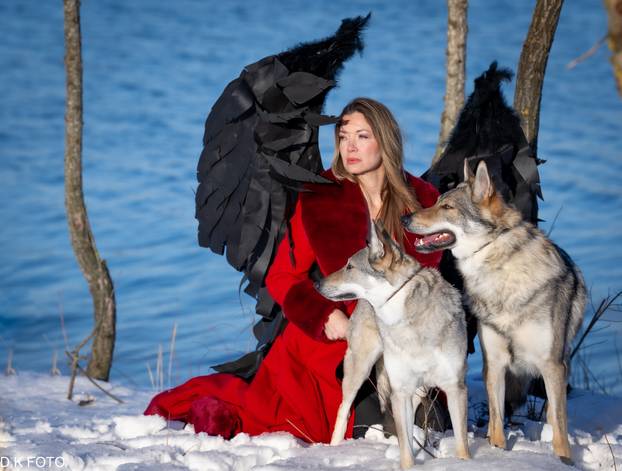 GALERIJA Nastali su od vukova, rođaci su Nazgula s Olimpijskih igara i žive kraj Velike Gorice!
