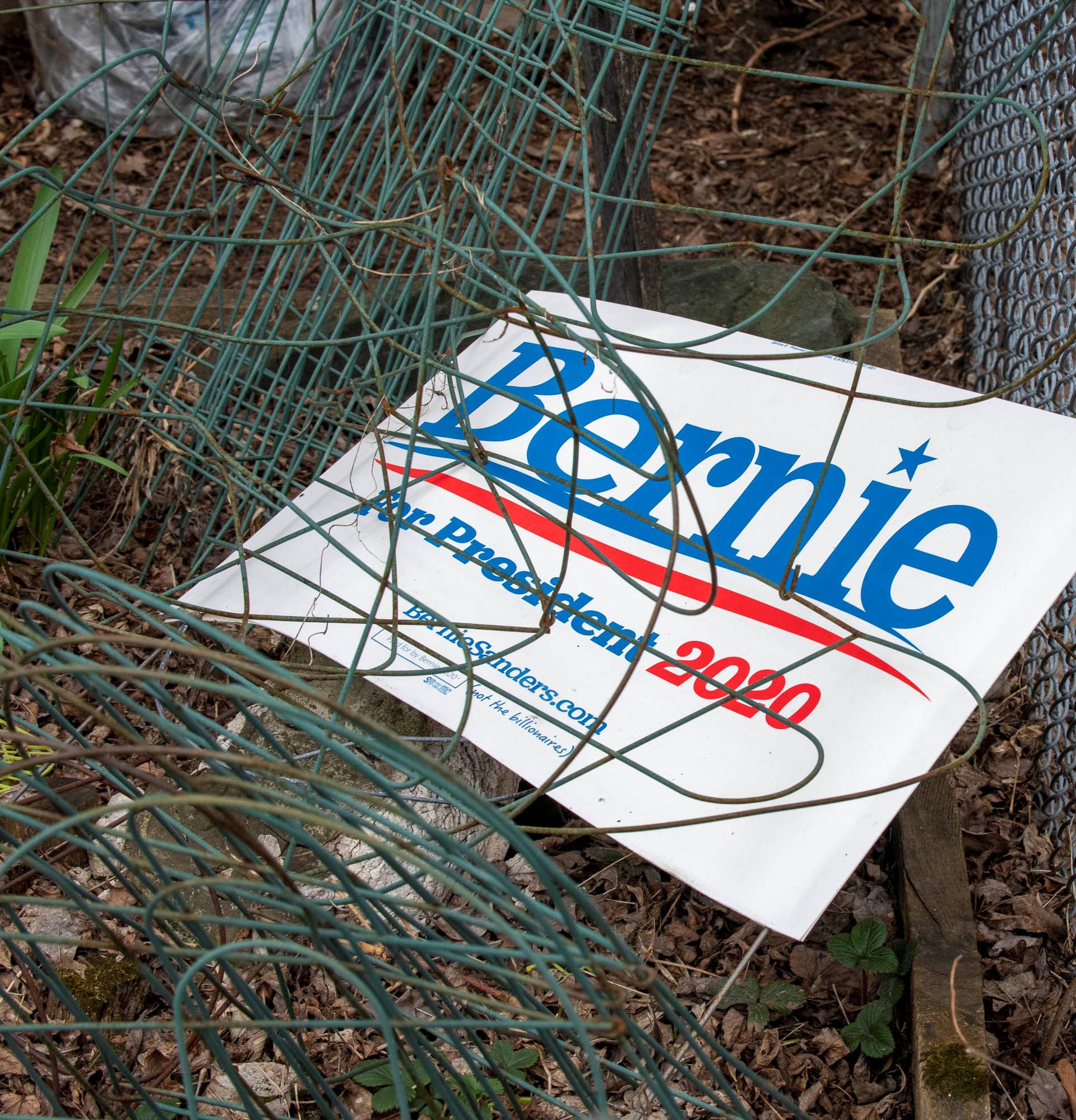 A lawn sign for Democratic 2020 presidential candidate Senator Bernie Sanders lies in a house yard in Burlington