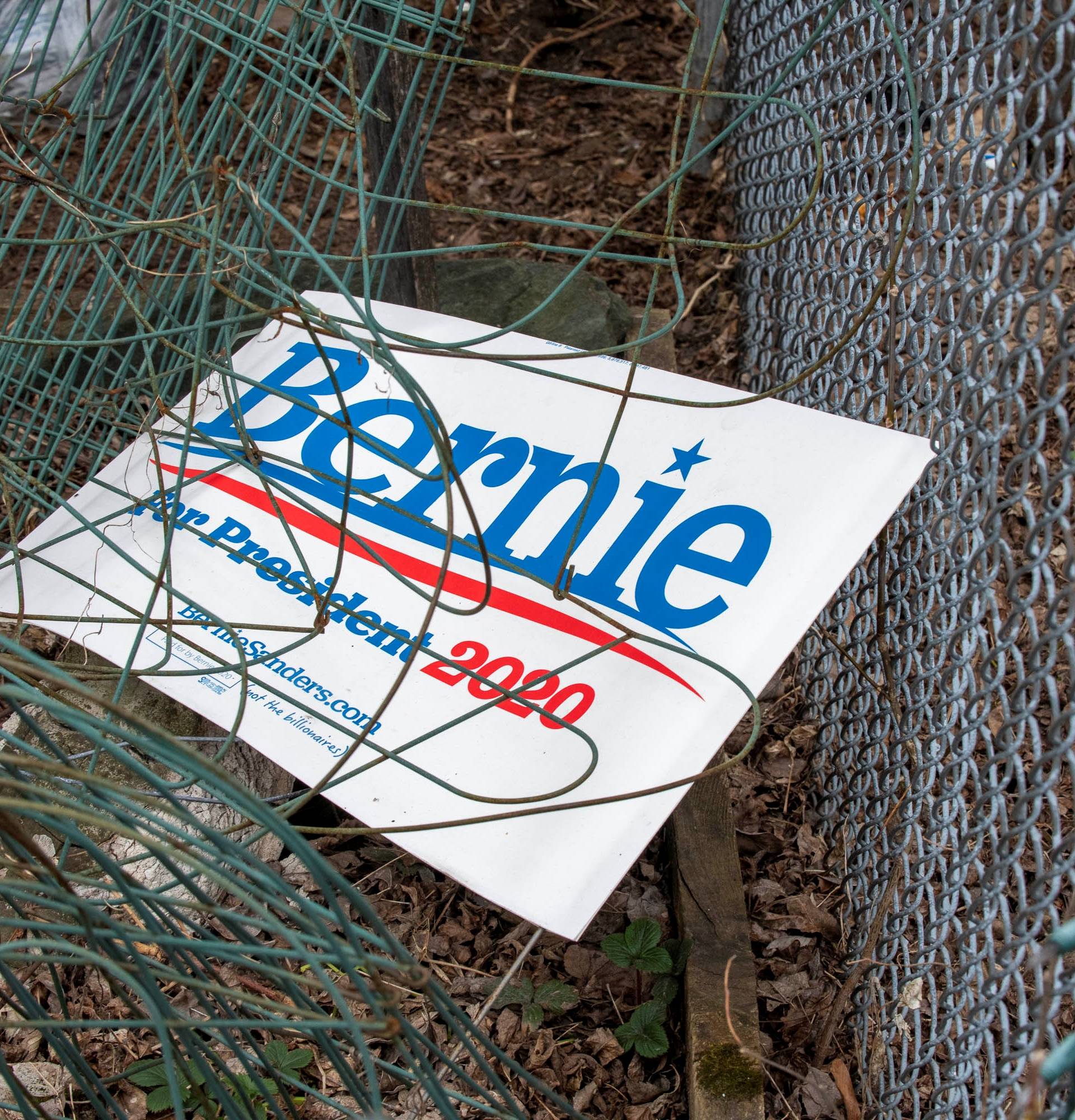 A lawn sign for Democratic 2020 presidential candidate Senator Bernie Sanders lies in a house yard in Burlington