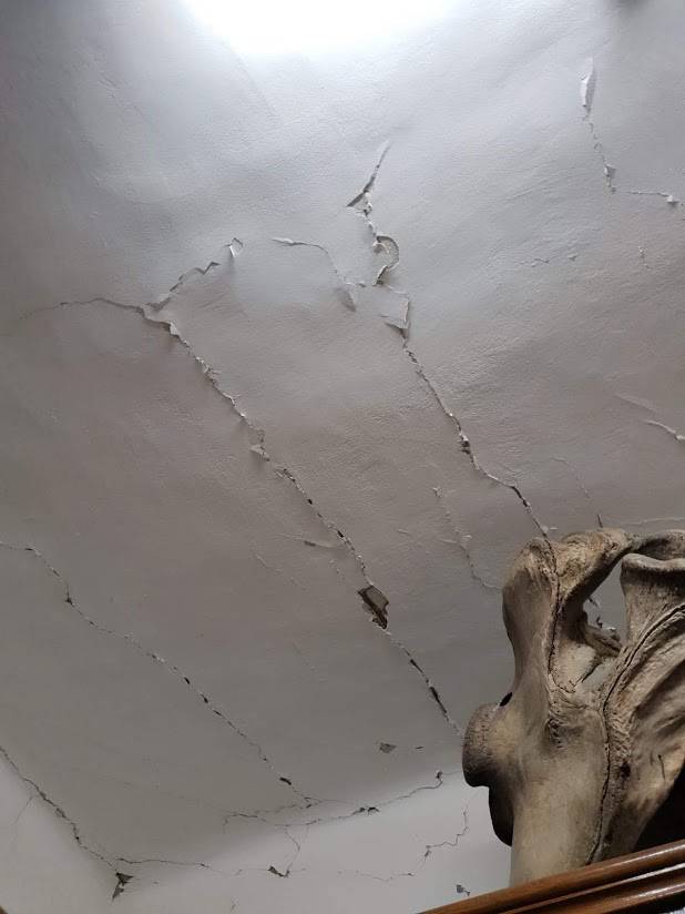 Hrvatski prirodoslovni muzej teško je stradao u potresu