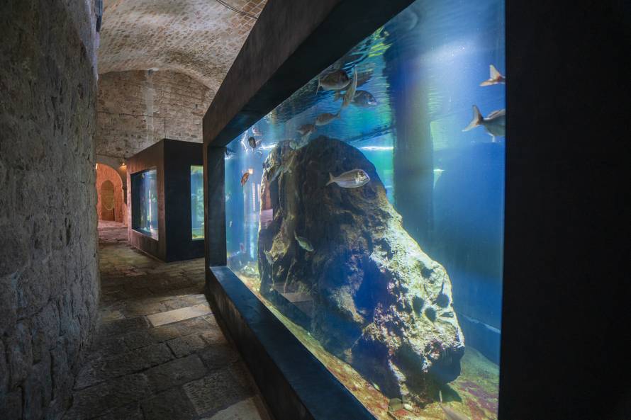 storyeditor/2024-03-28/akvarij_dubrovnik_3.jpg