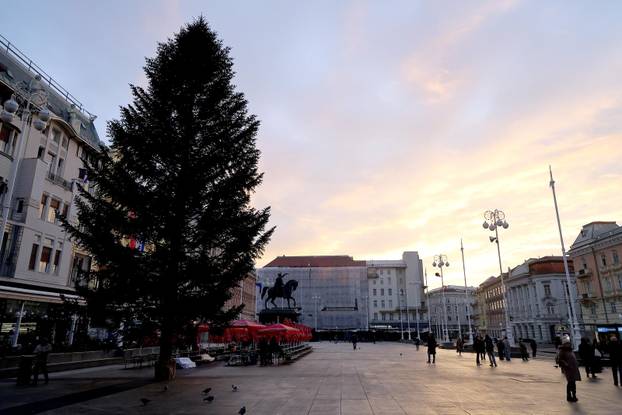 Zagreb: Na Trgu bana Jelačića postavljen bor