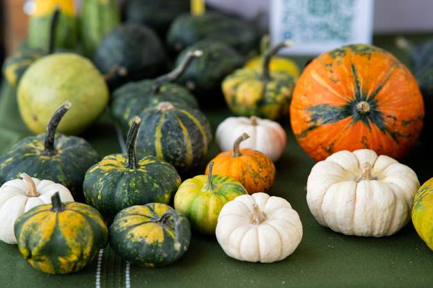 Zagreb: Manifestacija "100% Zagorsko" na Europskom trgu