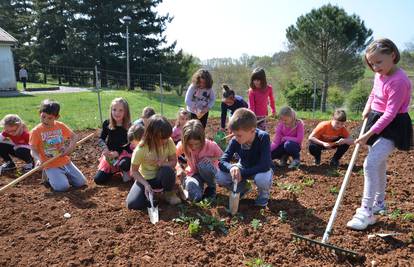Uče obrađujući zemlju: Sami sadimo sve što jedemo u školi