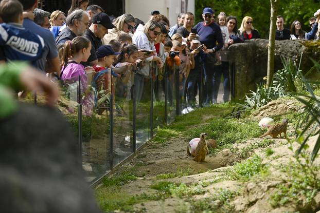 Zagreb: Podjela pisanica uz edukativni pogram za djecu u zoološkom vrtu