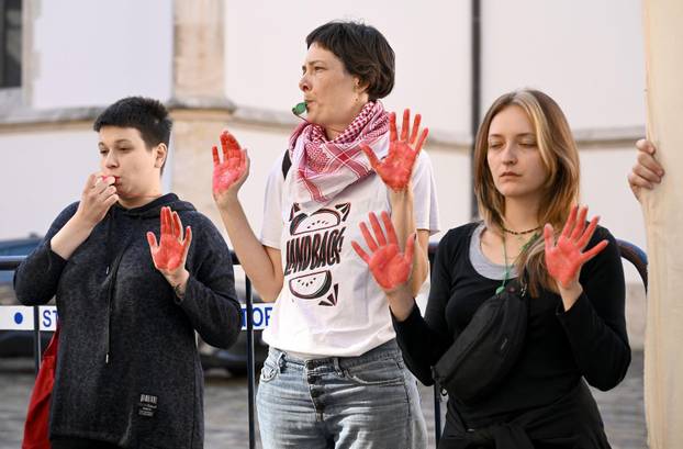 Zagreb: Zelena akcija poziva Vladu na prekid odnosa s izraelskom kompanijom Enlight Renewable Energy