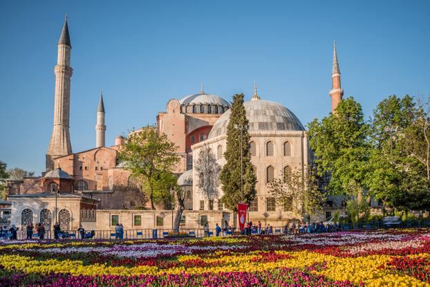 Largest Carpet of Tulips of the World in Sultanahmet for tulip festival
