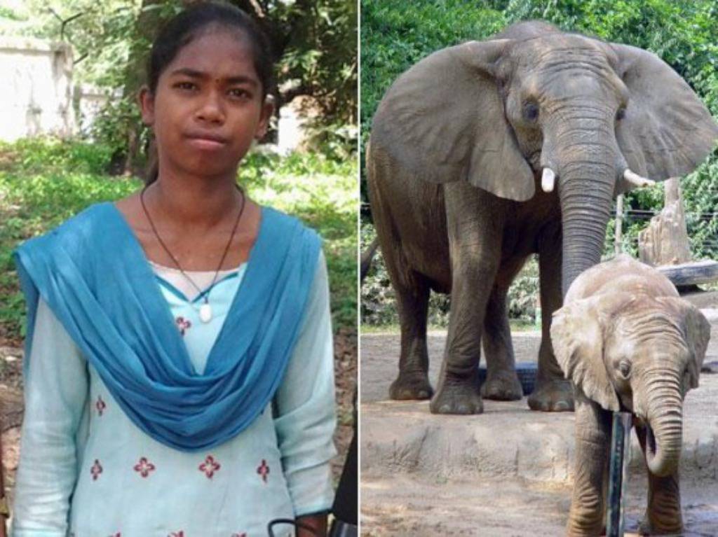 Djevojčica tvrdi da može razgovarati sa slonovima