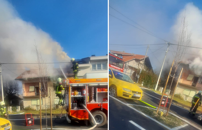 Buknuo požar na kući u Dugom Selu, vlasnik zadobio opekline