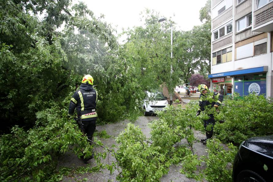 Zagreb: Na četiri automobila srušilo se stablo tijekom nevremena