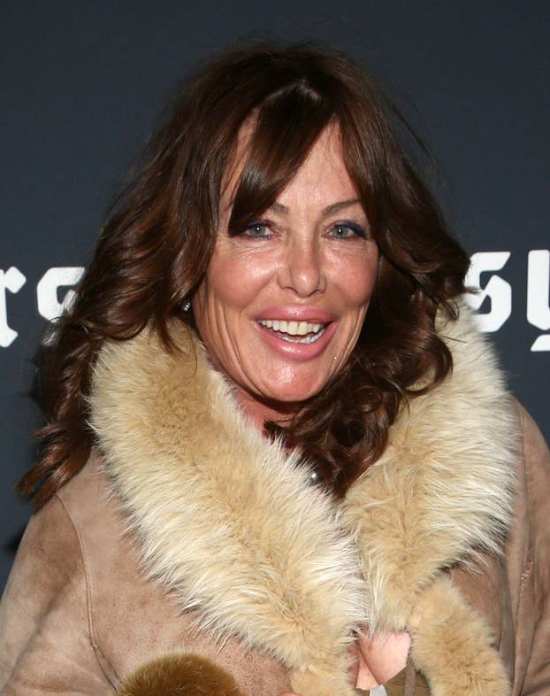 Los Angeles, Ca. 20th Feb, 2020. Kelly LeBrock, at EASYRIDERS Celebrates Brand Launch and Party to Mark the 50th Anniversary of the legendary magazine at The House Of Machines in Los Angeles California on February 20, 2020. Credit: Faye Sadou/Media Punch/
